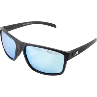 ALPINA NACAN I Sonnenbrille, black matt, One Size