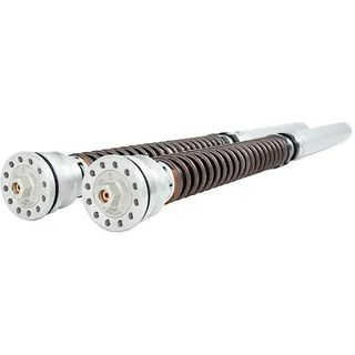 Öhlins Ttx25s Ducati Streetfighter V2s/v2s Panigale 2025 Fkr 234 Gabel-federnsatz - Natural - One Size