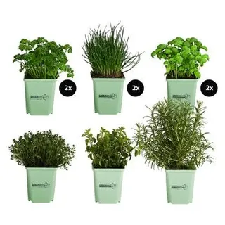 GREENBAR® Kräuter-Set Vielfalt, 9-teilig, Grün