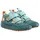 Hase 35