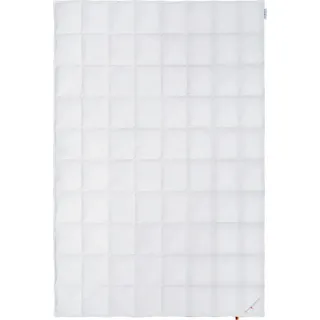 OBB Dauneneinziehdecke Sommerdecke Gitta Größe 155x220 cm