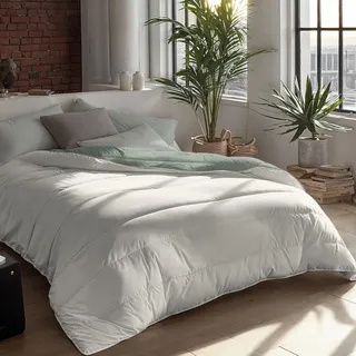 Zelesta Royalbed Bettdecke 240x200 4 Jahreszeiten - Bettwäsche winterdecke und Sommer-Bettdecke warm Duvet - Waschbare bettdecke ohne Bezug - Anti-Allergene Steppdecke