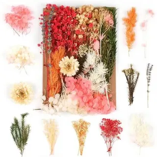 Trockenblumen DIY Epoxidharz Scrapbook Zubehör Karten Orange