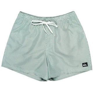 QUIKSILVER Everyday Deluxe Badeshorts Grün XXL