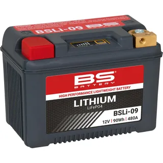 BS Battery BSLI-09 6 Ah