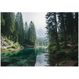 WallArena Fototapete Wald Bäume Grün 150x105 cm