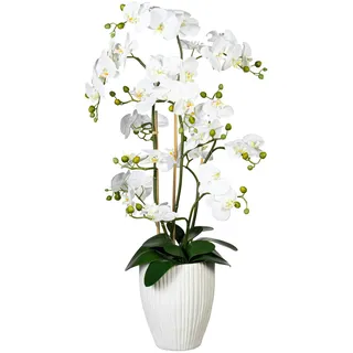 creativ-green Kunstpflanze Orchidee Phalaenopsis, 110 cm