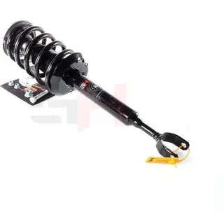 gh Federbein Komplett Federbein