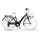 Citybike Primavera 26" RH 43 cm Black