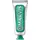 Zahnpasta Classic Strong Mint 25 ml