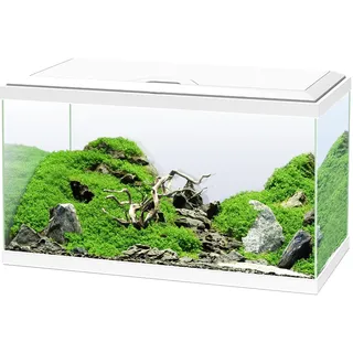 Ciano Ciano, Aquarium 60 weiß, für Fische, ausgestattet mit Filter, Verbrauchsmaterial, LED und Heizung, 58 l, verstärkte Verpackung für den Internetversand