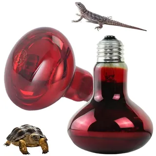 Dhqkqg Reptilien Rotlichtlampe, Amphibie Heizlampen Infrarotlampe, 2 Stück Rotlichtlampe Birne 100W Infrarotlampe, E27 Base Infrarot Wärmelampe für Reptilien Schildkröten Hühner Amphibien (Rot)