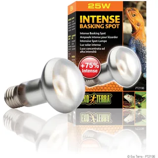 Exo Terra Intense Basking Spot, Wärmespotlampe, R20, 25W, Fassung E27, 1 Stück (1er Pack)