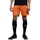 teamRISE Shorts Herren golden poppy/black L