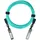 CBL-SFP AOC-5M-1-BO InfiniBand-Kabel Koralle