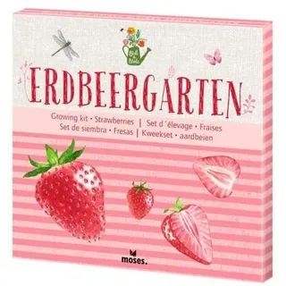 MOSES. VERLAG 87159 Blatt & Blüte Erdbeergarten Pflanzset
