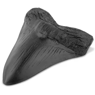 kesurpae Haifischzähne aus Harz, 12,7 cm, Thermostabilität, Megalodon Zahn Replik zum Lernen, Dekoration, Geschenke, Halloween, Schwarz