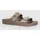 Gray Taupe 40