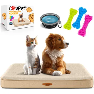 Lovpet LovPet® Hundebett orthopädisches Hundekissen Hundekorb Cookie, Inkl. Napf + 3X Kauknochen, Hundesofa für Kleine, Mittelgroße & Große Hunde, Bezug abnehmbar und waschbar