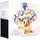 Top-Trainer-Box