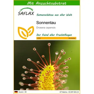SAFLAX - Sonnentau - 200 Samen - Mit keimfreiem Anzuchtsubstrat - Drosera capensis