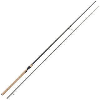 Westin W2 Spin 10'1/303cm MH 10-40g Spinnrute,