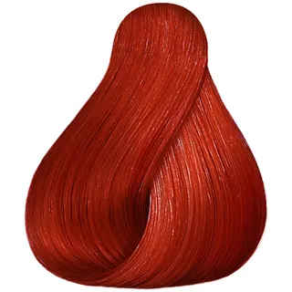 Wella Perfecton Tonspülung /43 rot-gold 250 ml