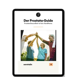 Prosta Guide - Bildung