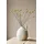 2,5 l No. 35 wiege des aromas