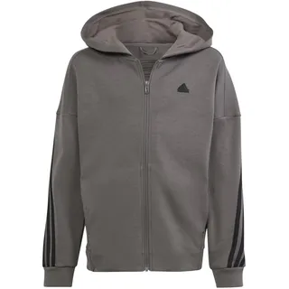 adidas Kinder Kapuzensweat Future Icons 3-Streifen, Größe 140 in Grau