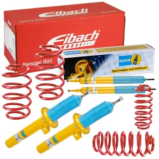 Eibach E95-79-010-03-22