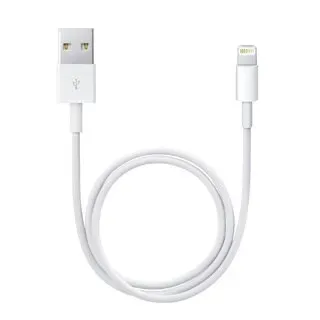 Apple Lightning auf USB Kabel 0.5m