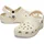 Bone 36-37