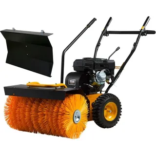TEXAS Handy Sweep 650TG