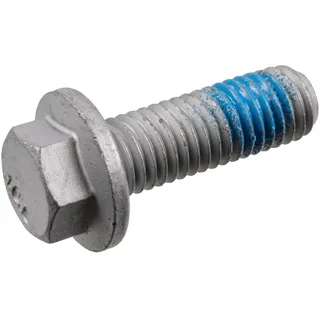 FEBI BILSTEIN Schraube, Bremssattel 182564