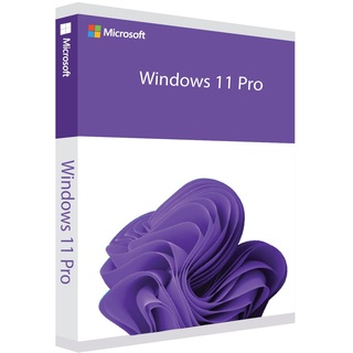 Microsoft Windows 11 Pro IT