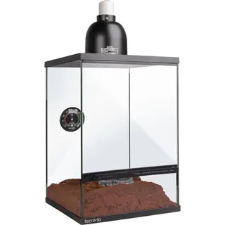 Terrario Oasis Verde 10 - Terrarium 30x30x45 mit Set Terrario