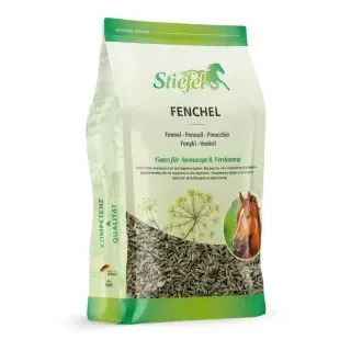 Stiefel Fenchel 500 g