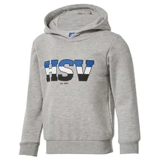 Hamburger SV HSV Kinder Kapuzenpullover Hoodie Pullover ** Nias ** (DE/NL/SE/PL, Numerisch, 116, Regular, Grau) - 116