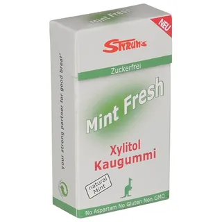 Styrums Kaugummi Mint Fresh