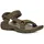 Olive 44,5