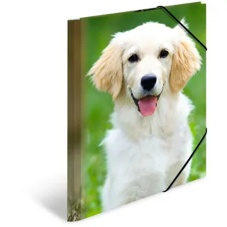 Sammelmappen DIN A4 Hunde, 3 St.
