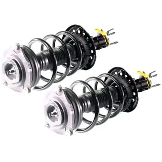 gh Federbein Komplett Federbein