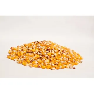 Mais Futtermais Körnermais 20KG getrocknet