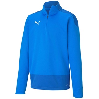 Puma teamGOAL 23 Training 1/4 Zip T Pullover, Electric Blue Lemonade-Team Power Blue, 176