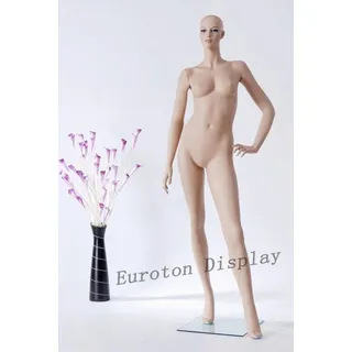 Eurotondisplay Schneiderpuppe Schaufensterpuppe Lebensecht Frau Weiblich Neu, Nicht zutreffend