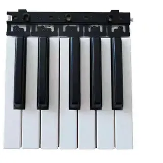 Klaviertasten Electronic Organ Black Aand White Keys(61 keys in total)