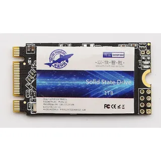 THREE COLOUR DOGFISH Dogfish 2242 1 TB M.2