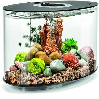 Oase biOrb Aquarium biOrb LOOP 15 LED schwarz
