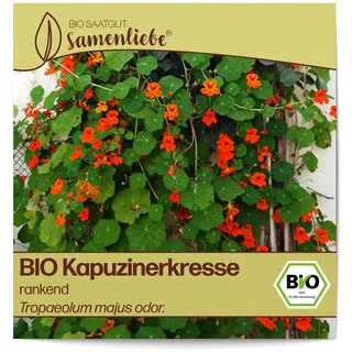 Samenliebe BIO Kapuzinerkresse Samen alte Sorte rankend 10 Samen samenfestes Blumen Saatgut für Garten Freiland und Balkon BIO Blumensamen